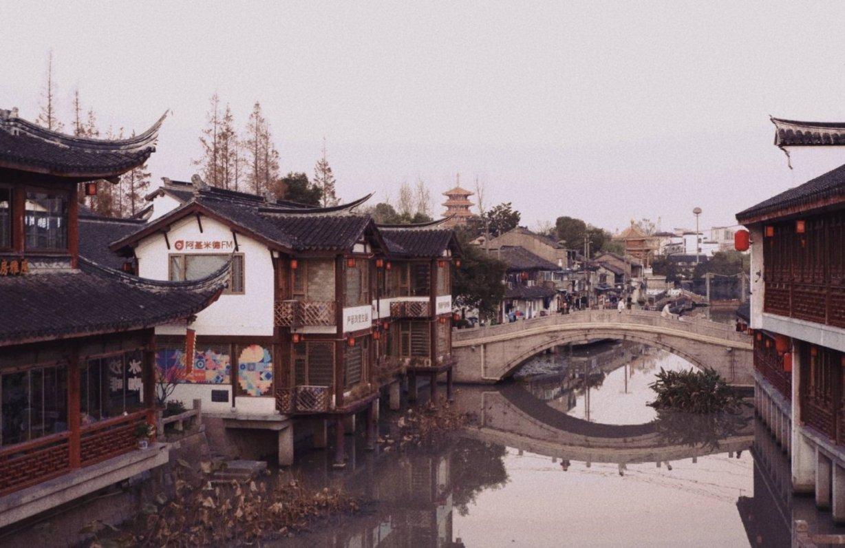 森系丛林